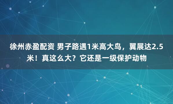 徐州赤盈配资 男子路遇1米高大鸟，翼展达2.5米！真这么大？它还是一级保护动物